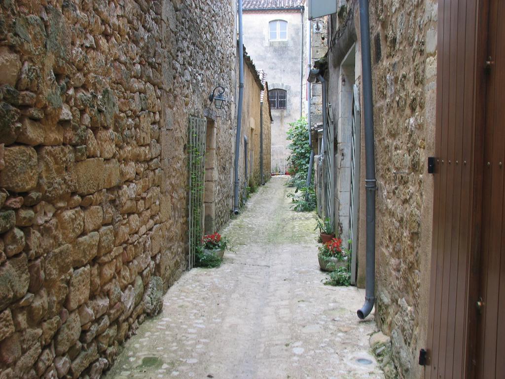 Duplex Carreyrou Apartamento Beaumont-du-Périgord Exterior foto